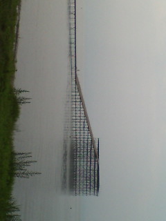 どこかで見たような...